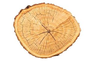 vista superior de la textura del tocón de árbol aislado en blanco foto