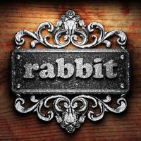 rabbit word of iron on wooden background photo