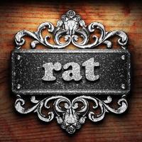 rat word of iron on wooden background photo