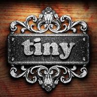 tiny word of iron on wooden background photo
