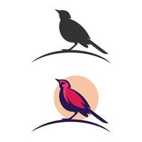 Bird Logo Design Vector Templates