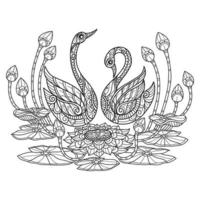Swan and lotus hand drawn for adult coloring book vector