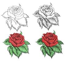 vector red rose with outline.