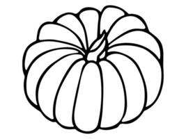 Vector hand drawn illustration of pumpkin. Isolated object on white background. Vegetable harvest clipart. Farm market product. Elements for autumn design, decoration.