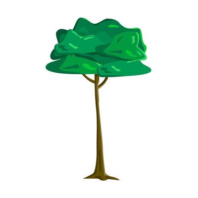Realistic green old tall tree isolated on white background - Vector