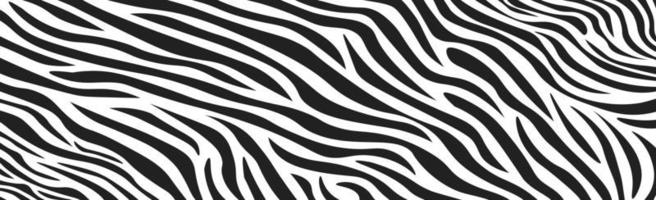Wavy black and white zebra fur texture - Vector