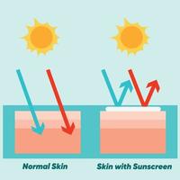 skin care concept,sunscreen, sunblock,Sun protection on skin layer.Comparison of normal skin and skin with sunscreen.Vector cartoon.