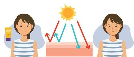 Skin care concept,sun protection.skin damage UV,sunblock ,sunscreen.skin layers.Uva uvb Vector cartoon of comparison about using and not use sunblock product.