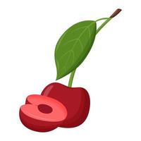 Whole red cherry with green leaf isolated on white background. Flat vector illustration