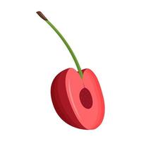 Half of red cherry isolated on white background. Flat vector illustration