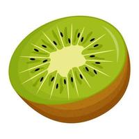 Half of kiwi on white background. Flat vector illustration