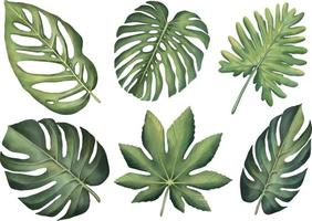 Tropical set of plants on a white background. Watercolor hand painted, summer clipart, palm leaves