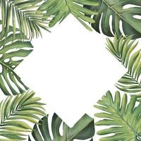 Tropical frame with plants on a white background. Watercolor hand painted, palm leaves