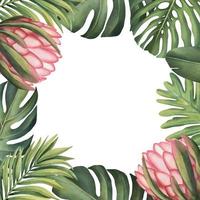 Tropical frame with plants and pink flowers on a white background. Watercolor hand painted, palm leaves