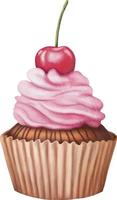 Sweet pink cupcake. Watercolor hand drawn illustration isolated on white background. vector