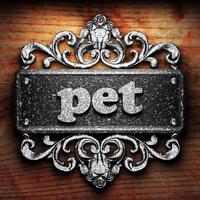 pet word of iron on wooden background photo