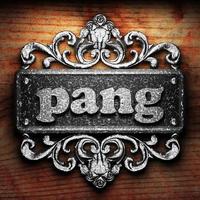 pang word of iron on wooden background photo