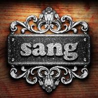 sang word of iron on wooden background photo