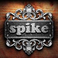 spike word of iron on wooden background photo