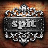 spit word of iron on wooden background photo
