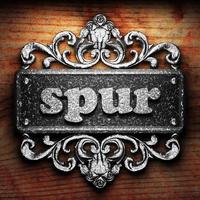 spur word of iron on wooden background photo