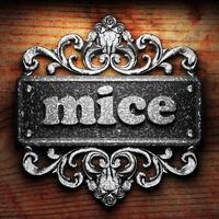 mice word of iron on wooden background photo