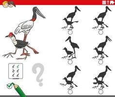 shadows game with cartoon bird characters vector