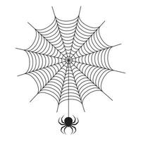 ilustración de una telaraña con una araña vector