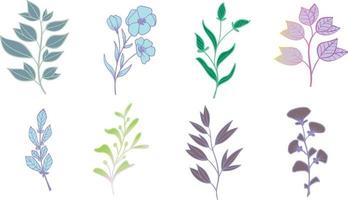 Watercolour flower branches vector and png