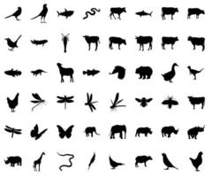 Animals and Birds Silhouette vector