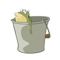 funny green frog Vector