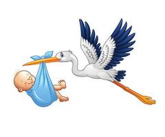 Cartoon stork carrying baby vector