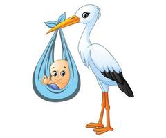 Cartoon stork carrying baby vector