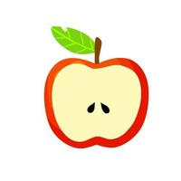 Half apple. Sliced fruit. vector