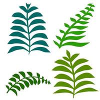 Fern leaf. Element of nature and the forest. Green bracken plant.