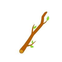 Tree branch with leaf on white background illustration. vector