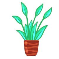Potted plant. Homemade Green leaves of houseplant. Gardening and botany. Flat illustration. Brown pot and House decoration vector
