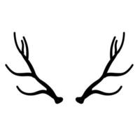 Horn of deer or elk. Hunting trophy. vector