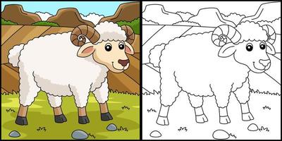 Sheep Coloring Page Colored Illustration vector