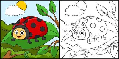 Ladybug Coloring Page Colored Illustration vector