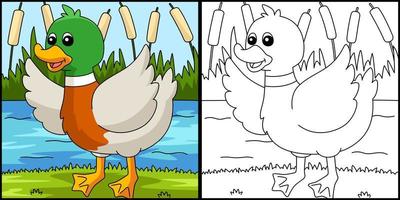 Duck Coloring Page Colored Illustration vector