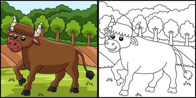 Ox Coloring Page Colored Illustration vector