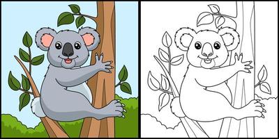 Koala Coloring Page Colored Illustration vector