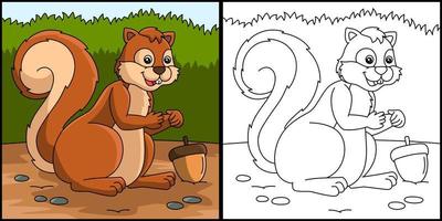 Squirrel Coloring Page Colored Illustration vector