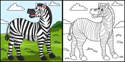 Zebra Coloring Page Colored Illustration vector