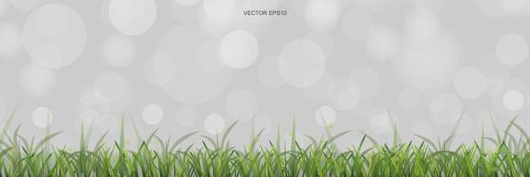 Green grass field with light blurred bokeh background. Vector. vector