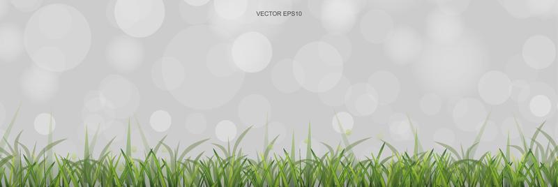 Green grass field with light blurred bokeh background. Vector.