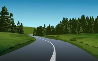 Road in sunny day by meadow and pine trees vector