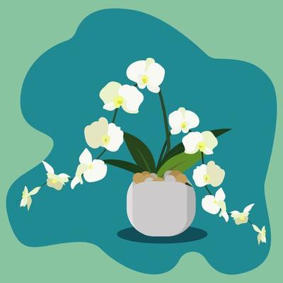 White flower on a pot vector illustration