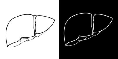 outline vector drawing of a human liver. Illustration with simple lines in two versions